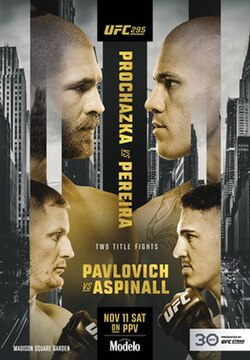 UFC 295: Procházka vs. Pereira poster