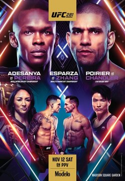 UFC 281: Adesanya vs. Pereira poster