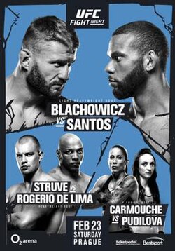 UFC Fight Night: Błachowicz vs. Santos poster