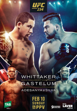 UFC 234: Adesanya vs. Silva poster