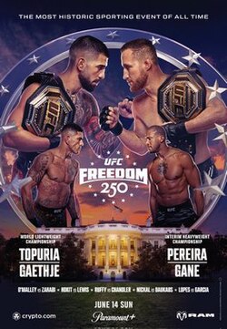 UFC Freedom 250 poster