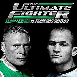The Ultimate Fighter: Team Lesnar vs. Team dos Santos Finale poster